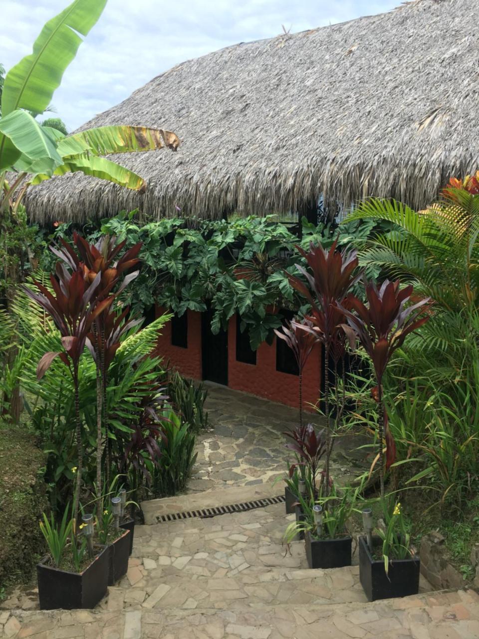 Hotel Green Ecologico La Vega  Exterior photo