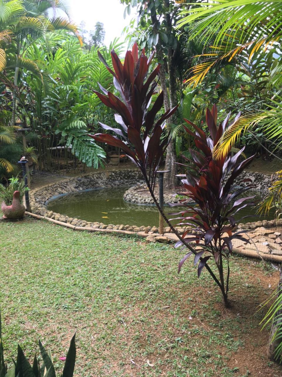 Hotel Green Ecologico La Vega  Exterior photo